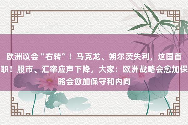 欧洲议会“右转”！马克龙、朔尔茨失利，这国首相含泪离职！股市、汇率应声下降，大家：欧洲战略会愈加保守和内向