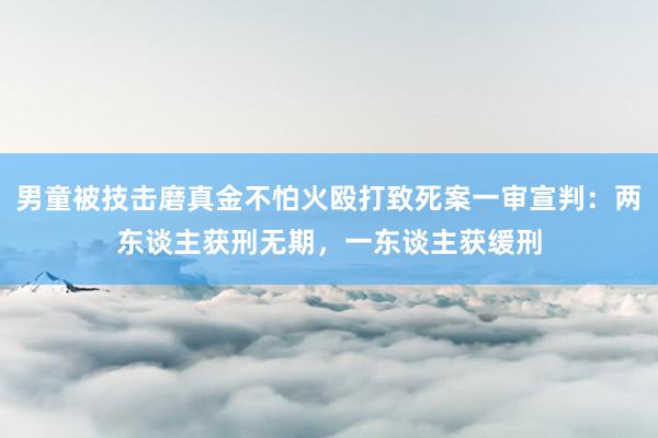 男童被技击磨真金不怕火殴打致死案一审宣判：两东谈主获刑无期，一东谈主获缓刑