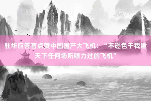 驻华应答官点赞中国国产大飞机：“不逊色于我谢天下任何场所眼力过的飞机”