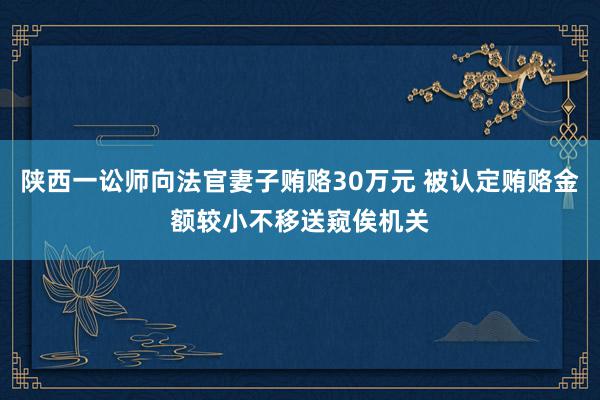 陕西一讼师向法官妻子贿赂30万元 被认定贿赂金额较小不移送窥俟机关