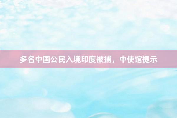 多名中国公民入境印度被捕，中使馆提示