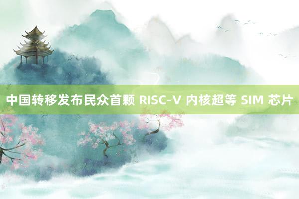 中国转移发布民众首颗 RISC-V 内核超等 SIM 芯片