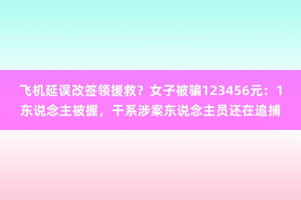 飞机延误改签领援救？女子被骗123456元：1东说念主被握，干系涉案东说念主员还在追捕