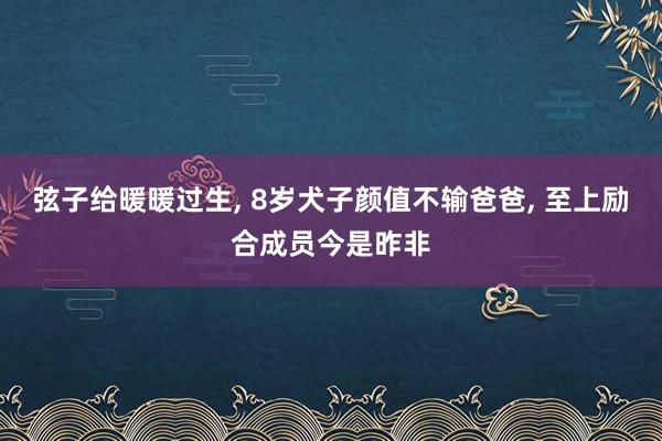 弦子给暖暖过生, 8岁犬子颜值不输爸爸, 至上励合成员今是昨非