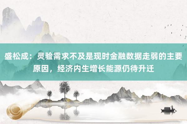 盛松成：灵验需求不及是现时金融数据走弱的主要原因，经济内生增长能源仍待升迁