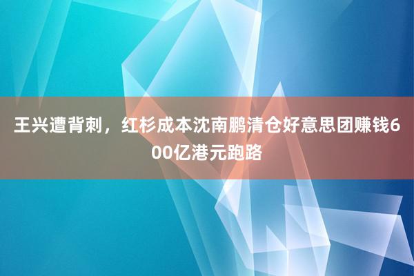 王兴遭背刺，红杉成本沈南鹏清仓好意思团赚钱600亿港元跑路