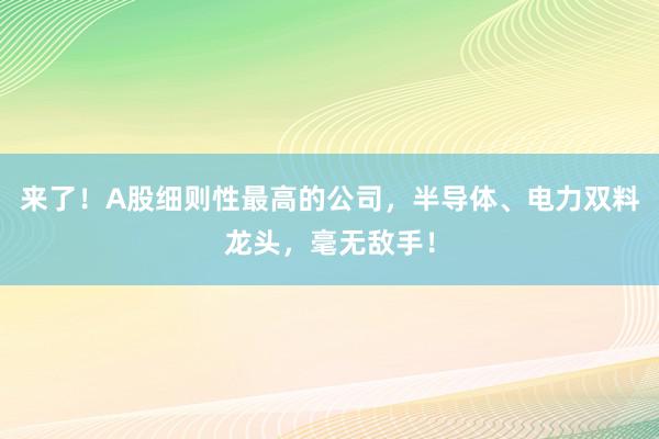 来了！A股细则性最高的公司，半导体、电力双料龙头，毫无敌手！