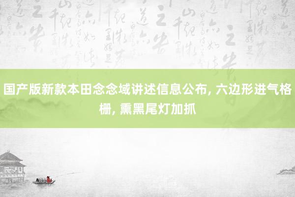 国产版新款本田念念域讲述信息公布, 六边形进气格栅, 熏黑尾灯加抓