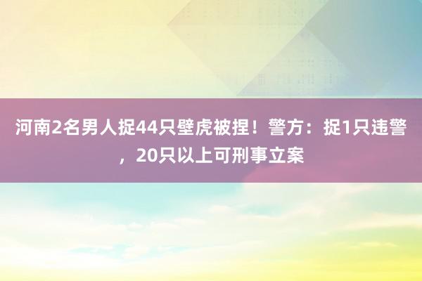 河南2名男人捉44只壁虎被捏！警方：捉1只违警，20只以上可刑事立案