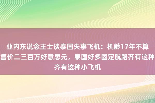 业内东说念主士谈泰国失事飞机：机龄17年不算老旧，售价二三百万好意思元，泰国好多固定航路齐有这种小飞机