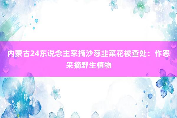 内蒙古24东说念主采摘沙葱韭菜花被查处：作恶采摘野生植物