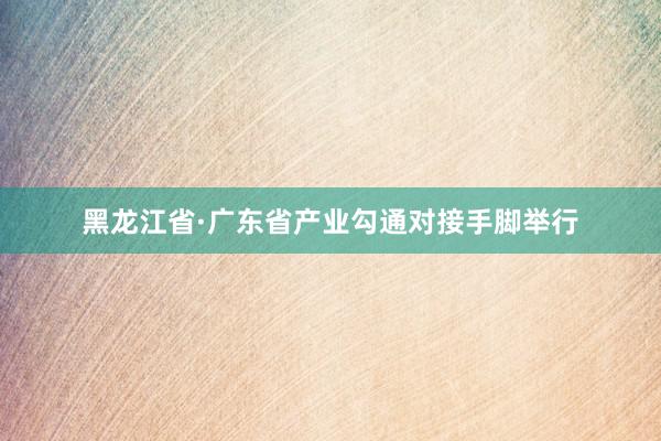 黑龙江省·广东省产业勾通对接手脚举行