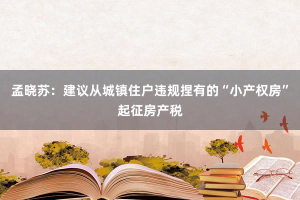 孟晓苏：建议从城镇住户违规捏有的“小产权房”起征房产税