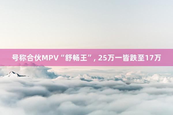 号称合伙MPV“舒畅王”, 25万一皆跌至17万