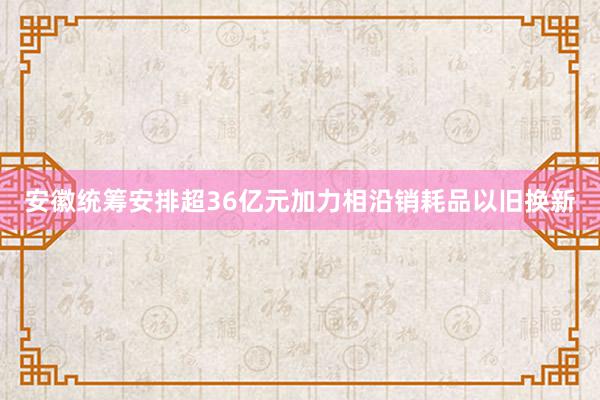 安徽统筹安排超36亿元加力相沿销耗品以旧换新