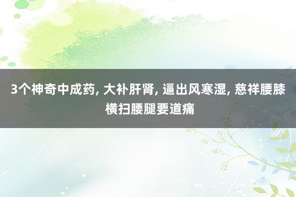 3个神奇中成药, 大补肝肾, 逼出风寒湿, 慈祥腰膝 横扫腰腿要道痛